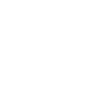 Dolfn